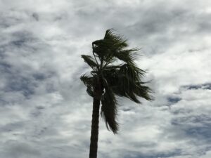 Florida Hurricane Preparedness