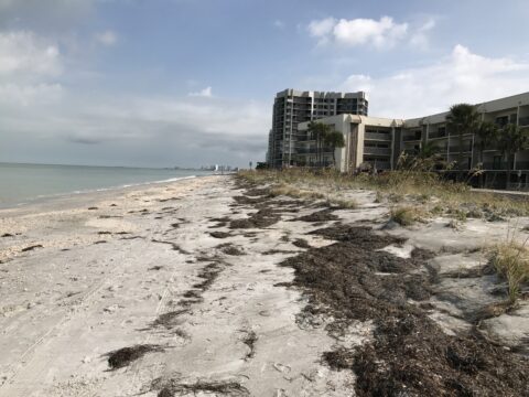 Florida Hurricane Preparedness beaches erosion